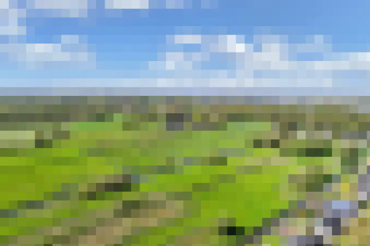 Zoete Inval 14 Kortenhoef thumbnail 44