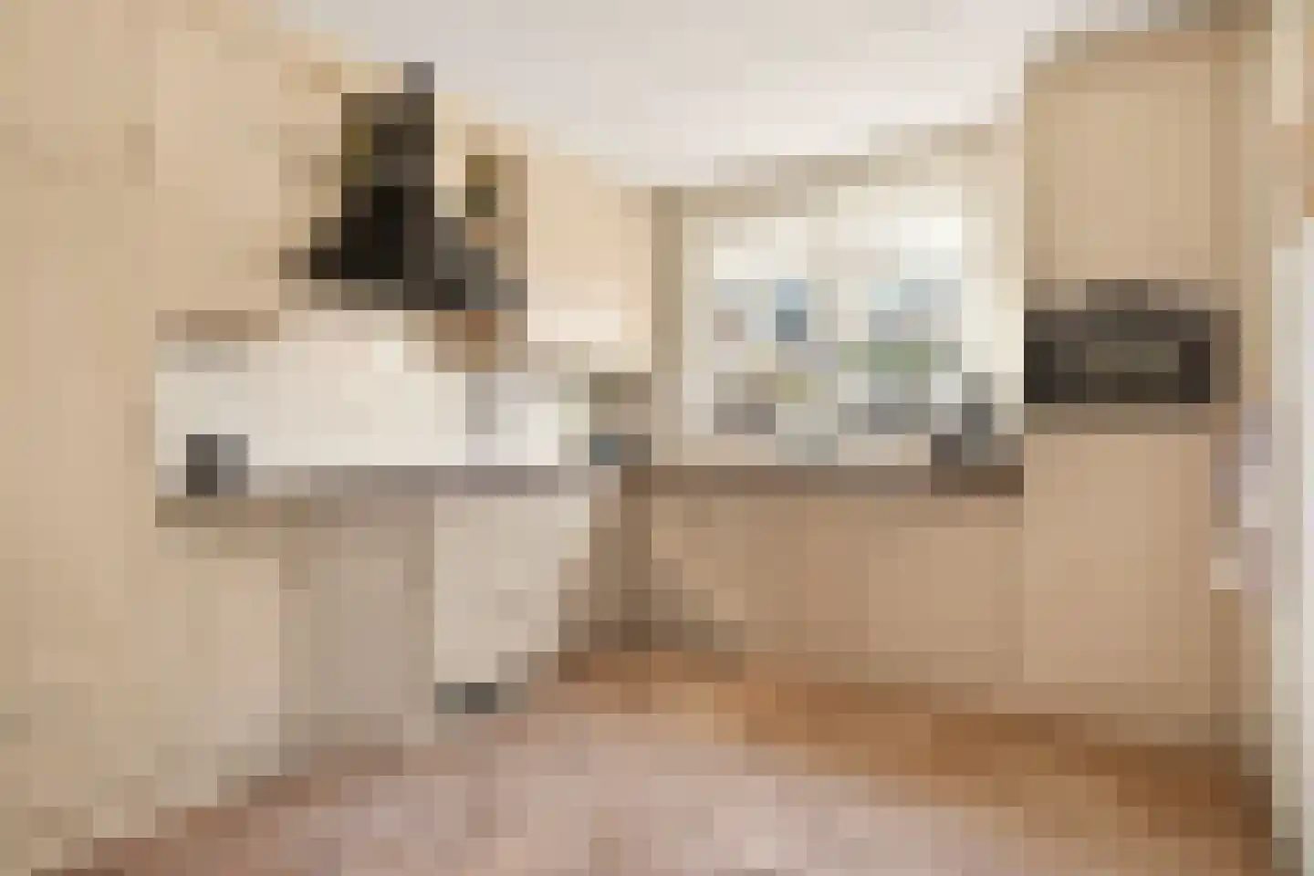 Zoete Inval 17 Veenendaal thumbnail 16