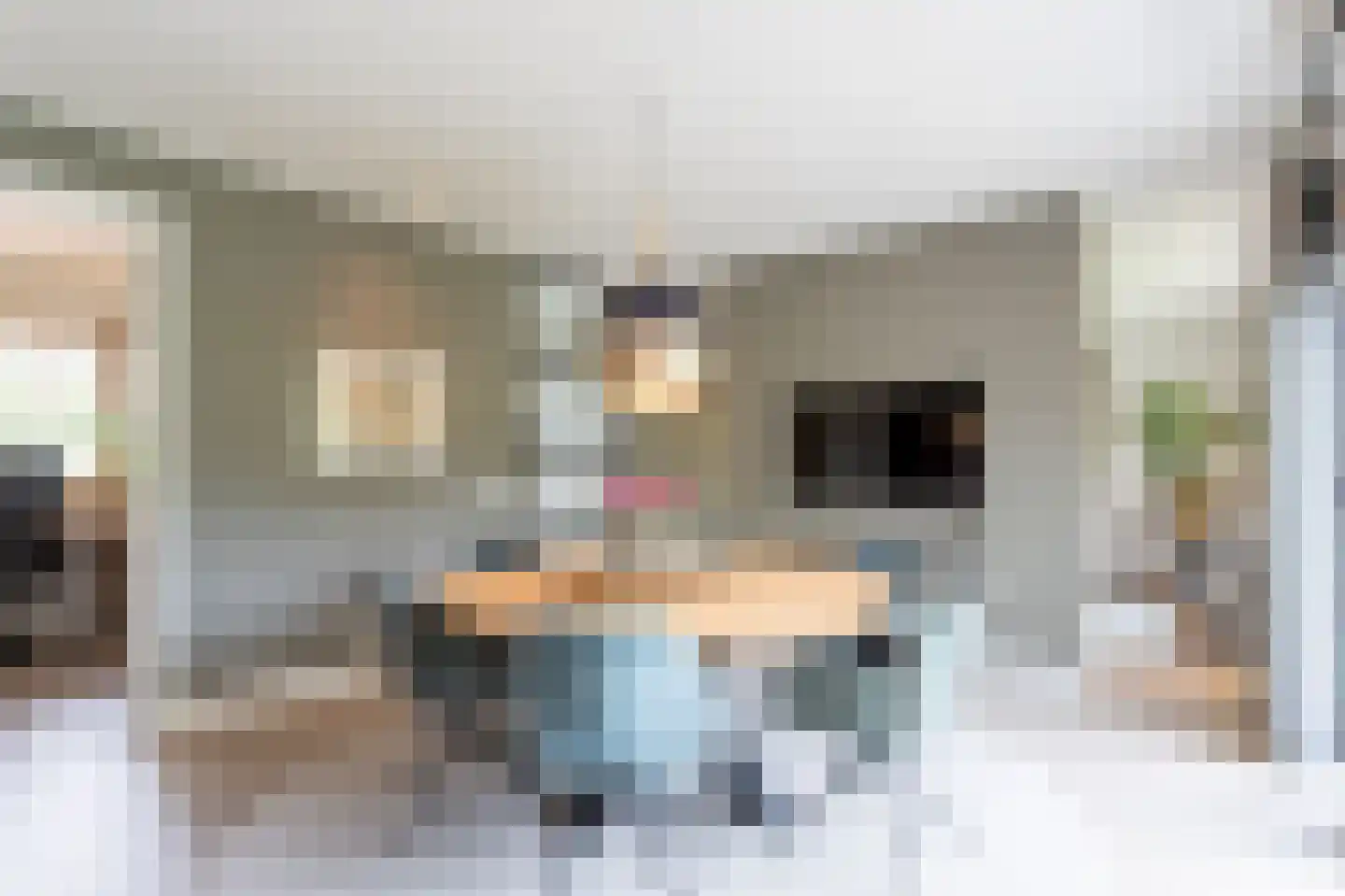 Zoete Kers 27 Helmond thumbnail 17