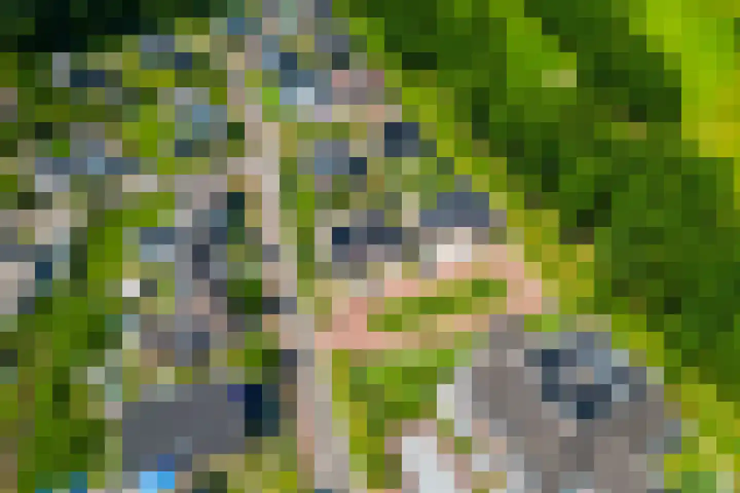 Zoete Kers 27 Helmond thumbnail 4