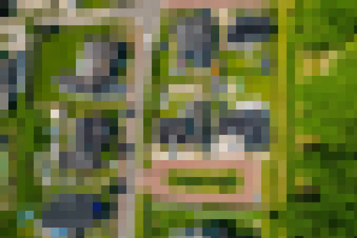 Zoete Kers 27 Helmond thumbnail 64