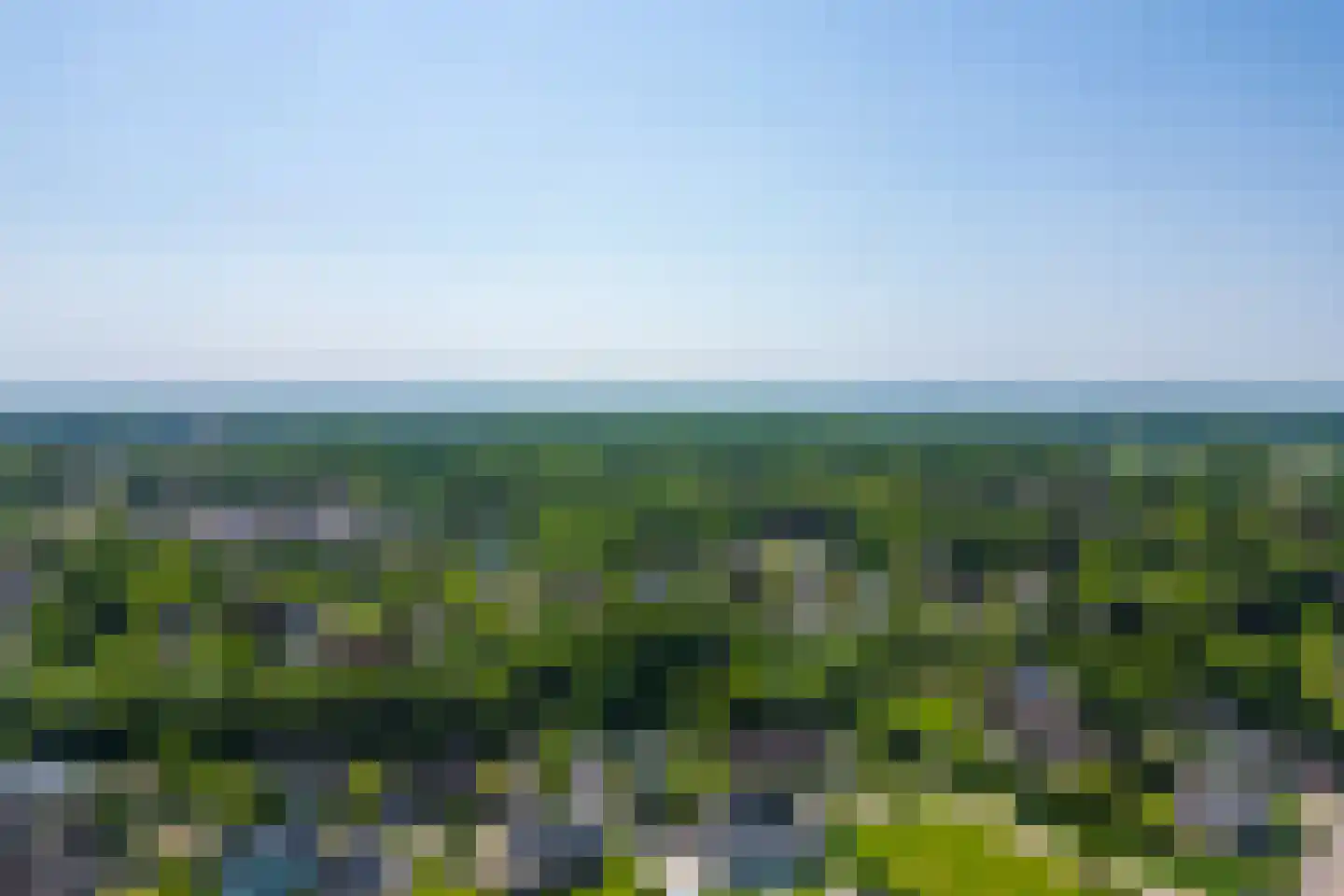 Zoete Kers 27 Helmond thumbnail 68