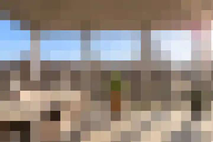 Zoete Kers 37 Helmond thumbnail 16