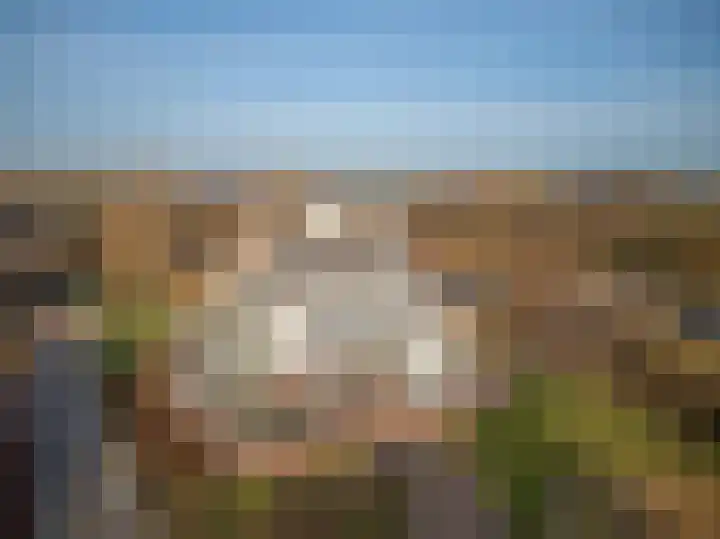 Zoete Kers 37 Helmond thumbnail 39