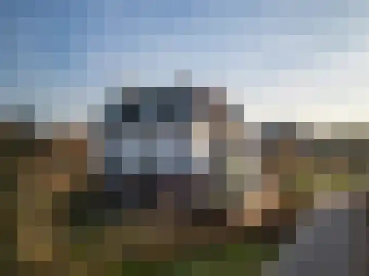 Zoete Kers 37 Helmond thumbnail 43