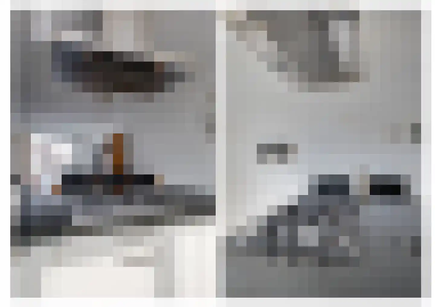 Zoete Kroon 11 Fijnaart thumbnail 15