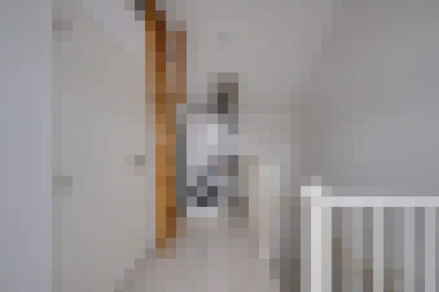 Zoete Kroon 11 Fijnaart thumbnail 29