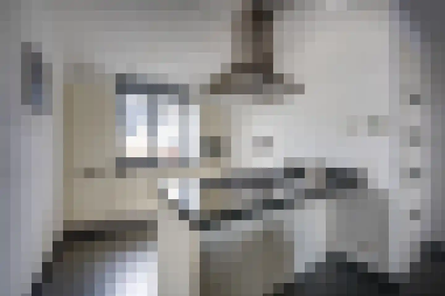 Zoete Kroon 11 Fijnaart foto 3