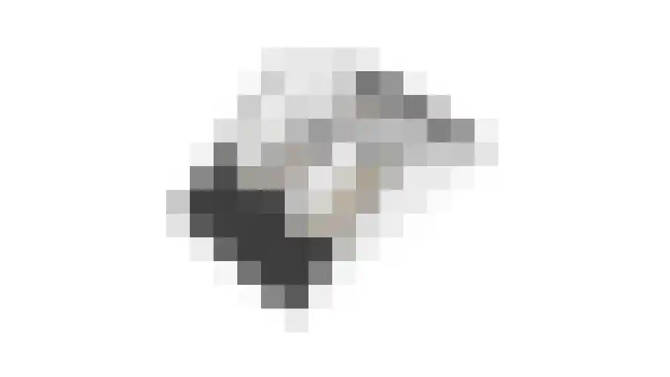 Zoete Kroon 11 Fijnaart thumbnail 48
