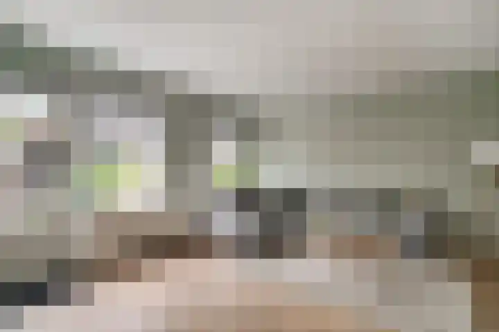 Zoete Kroon 12 Duiven thumbnail 12