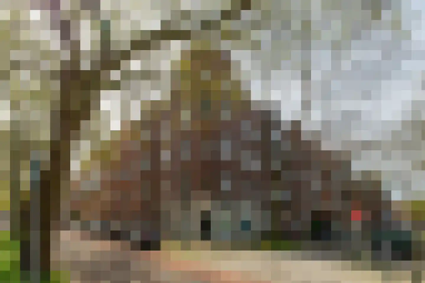 Zoete Kroon 12 Duiven thumbnail 14