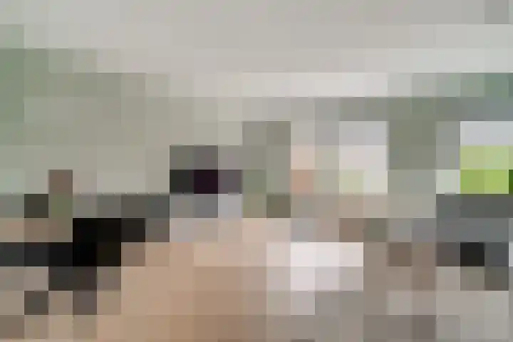 Zoete Kroon 12 Duiven thumbnail 15
