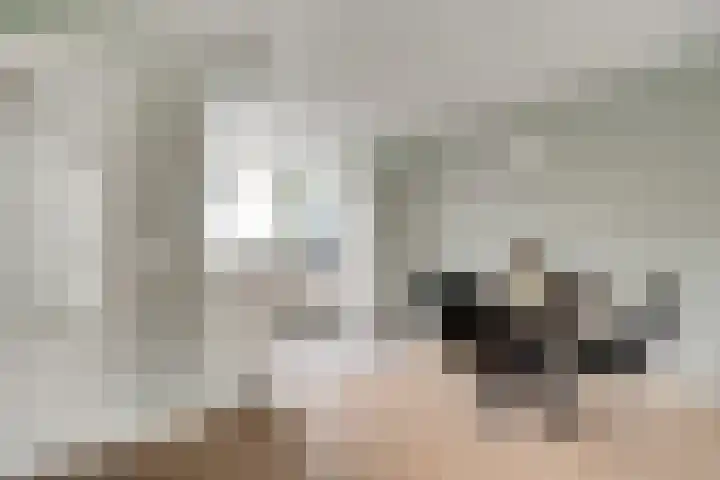 Zoete Kroon 12 Duiven thumbnail 17