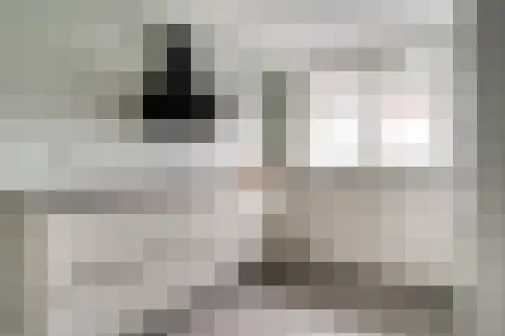 Zoete Kroon 12 Duiven thumbnail 18