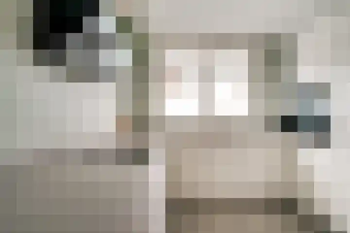 Zoete Kroon 12 Duiven thumbnail 19