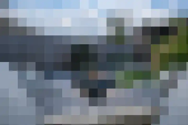 Zoete Kroon 12 Duiven thumbnail 21