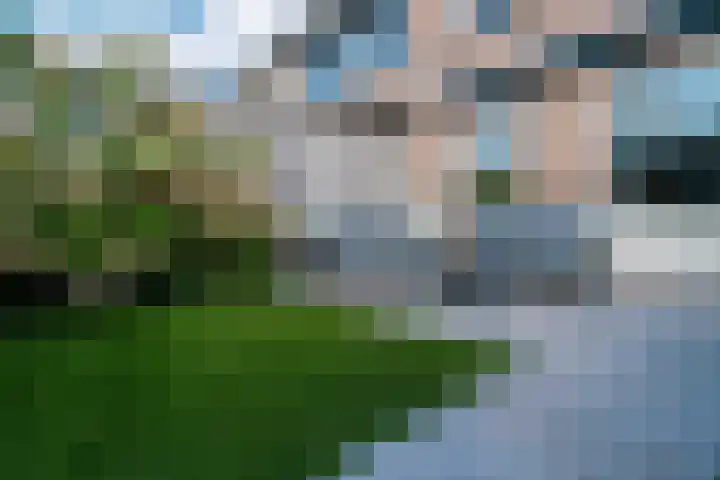 Zoete Kroon 12 Duiven thumbnail 23