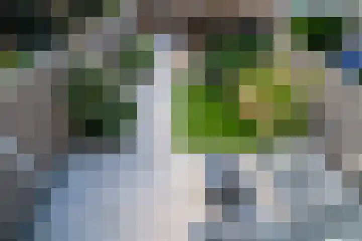 Zoete Kroon 12 Duiven thumbnail 27