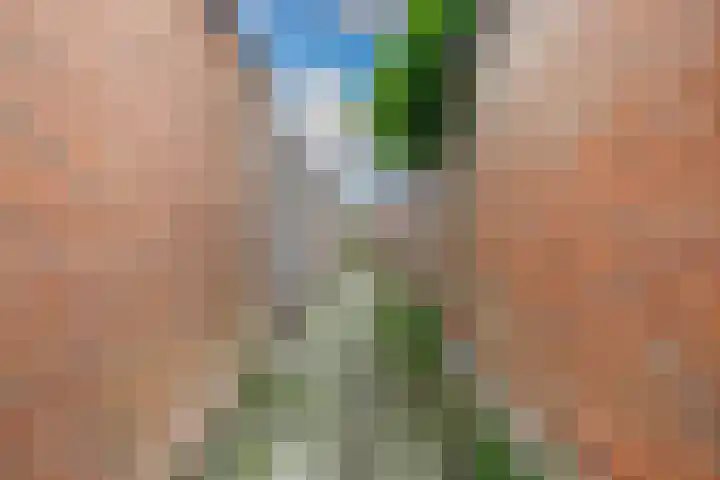 Zoete Kroon 12 Duiven thumbnail 28