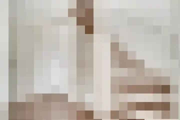 Zoete Kroon 12 Duiven thumbnail 29