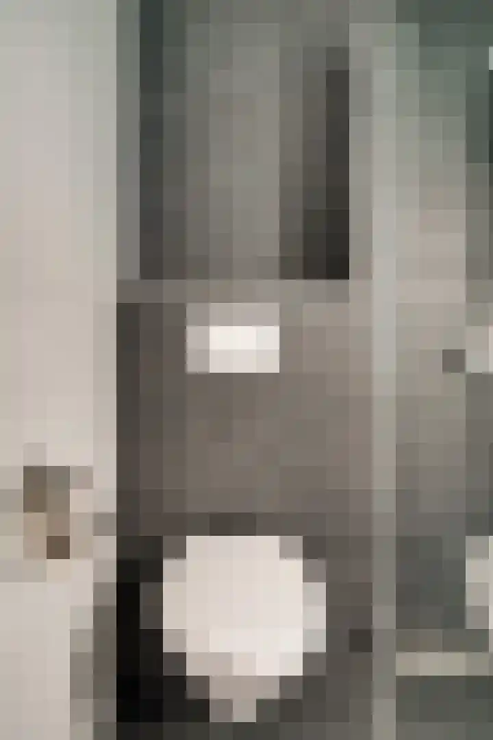 Zoete Kroon 12 Duiven thumbnail 32