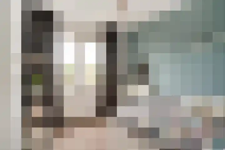 Zoete Kroon 12 Duiven thumbnail 34