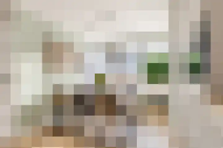 Zoete Kroon 12 Duiven thumbnail 39