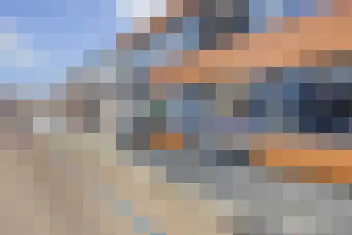 Zoete Kroon 12 Duiven thumbnail 45
