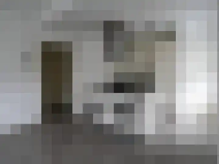 Zoete Kroon 12 Duiven thumbnail 5