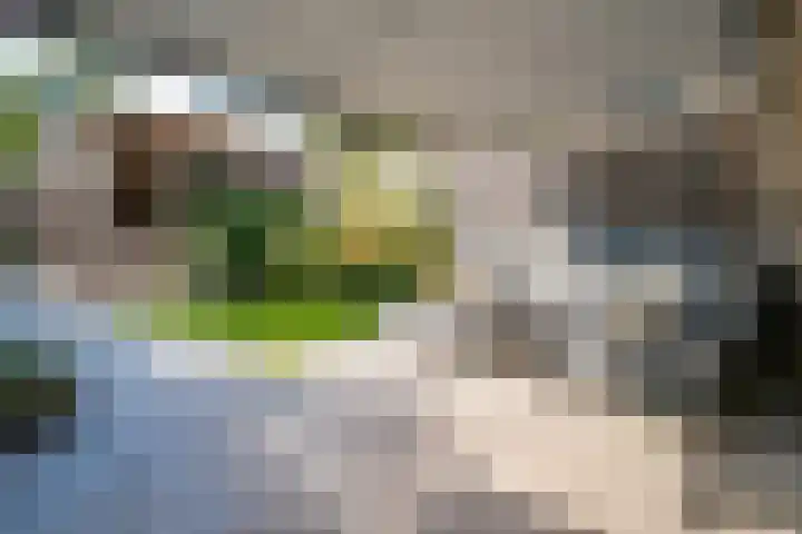 Zoete Kroon 12 Duiven thumbnail 5