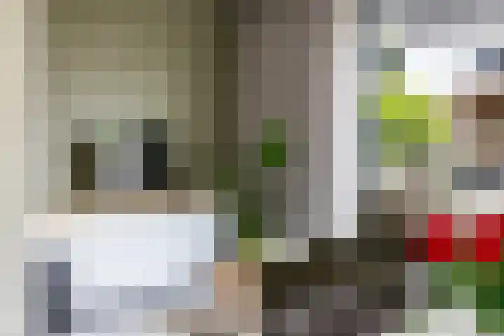 Zoete Kroon 12 Fijnaart thumbnail 10