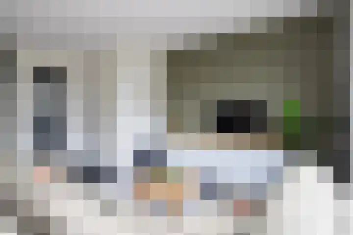 Zoete Kroon 12 Fijnaart thumbnail 11
