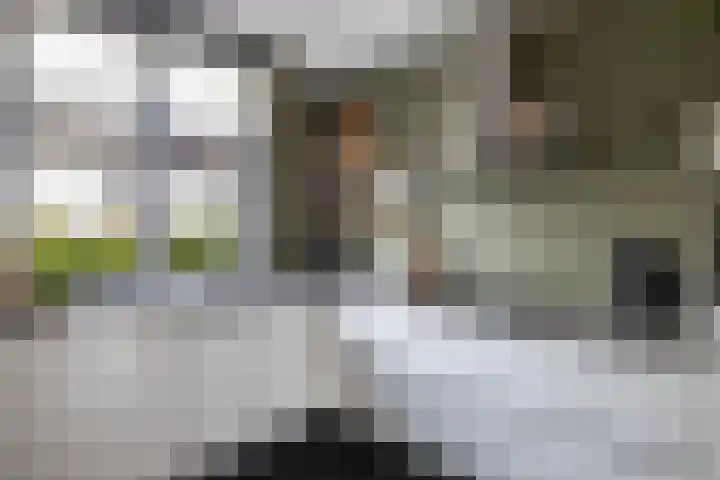 Zoete Kroon 12 Fijnaart thumbnail 13