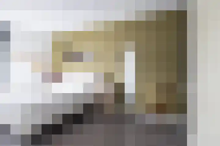 Zoete Kroon 12 Fijnaart thumbnail 17