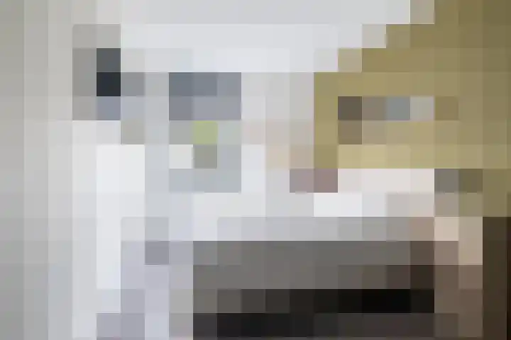 Zoete Kroon 12 Fijnaart thumbnail 18