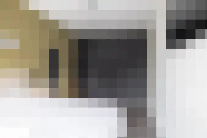 Zoete Kroon 12 Fijnaart thumbnail 19