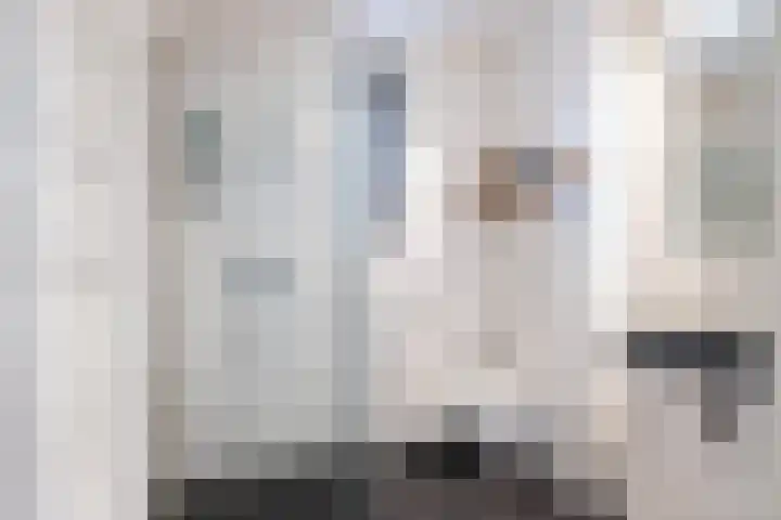 Zoete Kroon 12 Fijnaart thumbnail 22