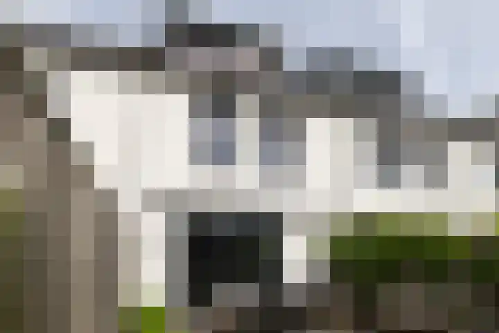 Zoete Kroon 12 Fijnaart thumbnail 29