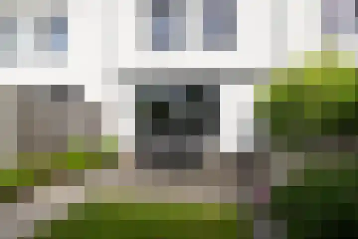 Zoete Kroon 12 Fijnaart thumbnail 30