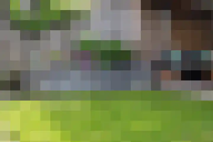 Zoete Kroon 12 Fijnaart thumbnail 31
