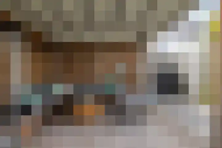 Zoete Kroon 12 Fijnaart thumbnail 32