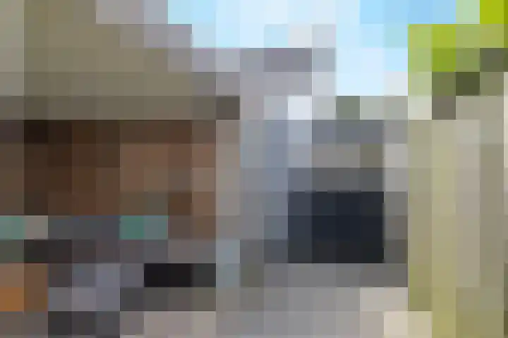 Zoete Kroon 12 Fijnaart thumbnail 33