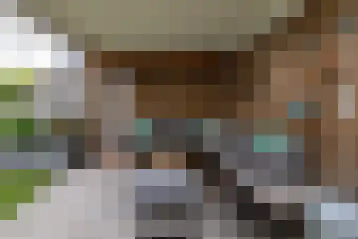 Zoete Kroon 12 Fijnaart thumbnail 34
