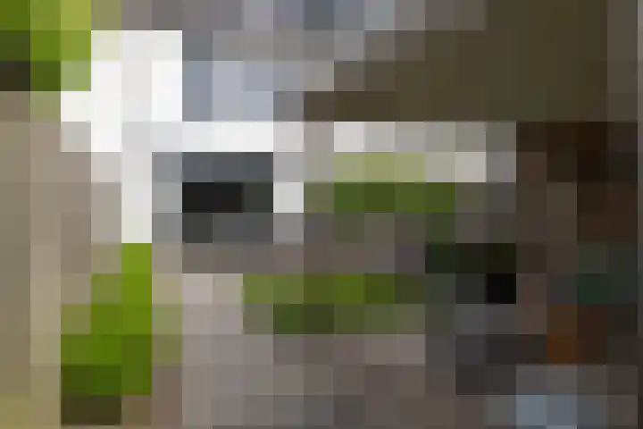 Zoete Kroon 12 Fijnaart thumbnail 35