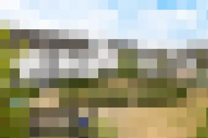 Zoete Kroon 12 Fijnaart thumbnail 37
