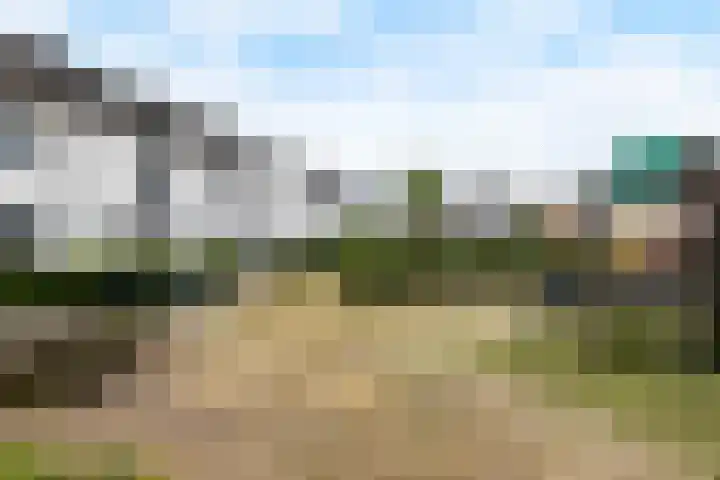 Zoete Kroon 12 Fijnaart thumbnail 38