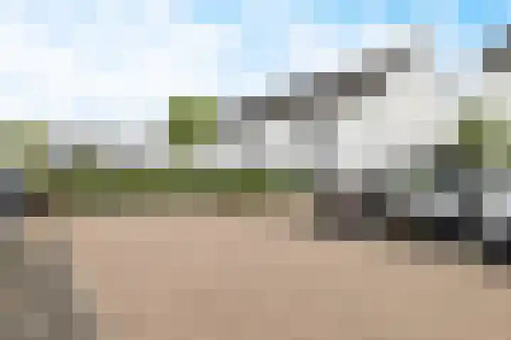 Zoete Kroon 12 Fijnaart thumbnail 39