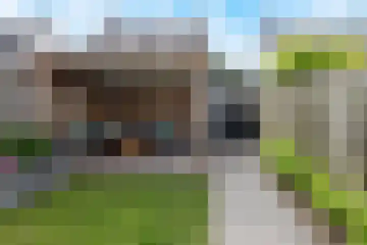 Zoete Kroon 12 Fijnaart thumbnail 4