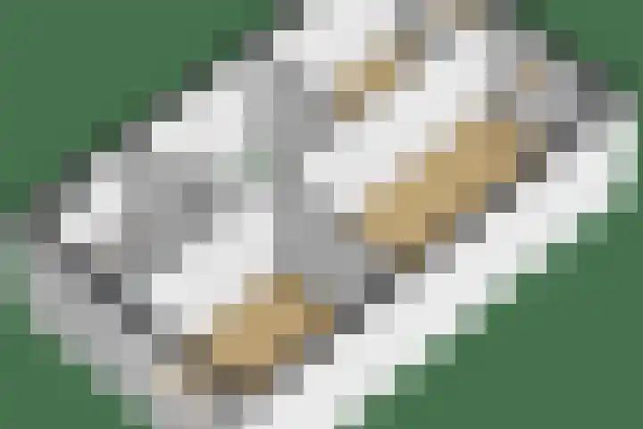 Zoete Kroon 12 Fijnaart thumbnail 43