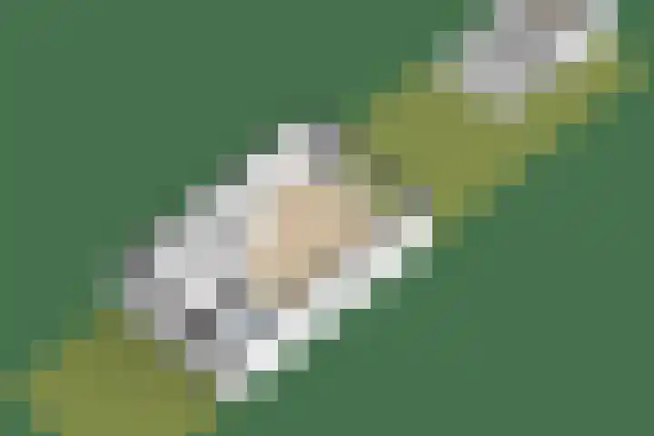 Zoete Kroon 12 Fijnaart thumbnail 47
